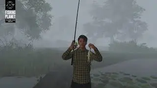 Since we can't go outside