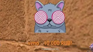 РЕАКЦИЯ НА СУПЕР ДОНАТЫ ОТ VENO