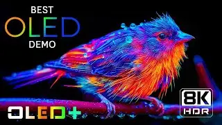Hyper Real 4K HDR Display | Dolby Vision OLED 8K Ultra Demo