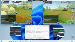 Luna Destiny Dual Login and BOT test 08/06/2024