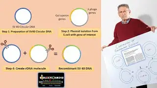 Paul Berg Experiment || Construction of Recombinant or Hybrid DNA