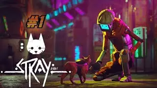 STRAY #1 ПРОХОДЖЕННЯ ГРИ [passage]