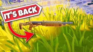 Wasn't This BANNED! in Fortnite.