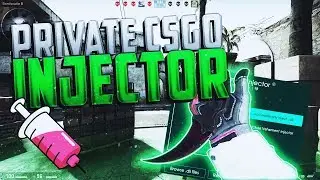 [CS:GO] UNDETECTED Private Injector (Vehement Injector)