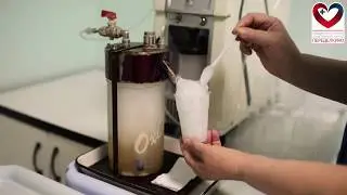 Фитотерапия