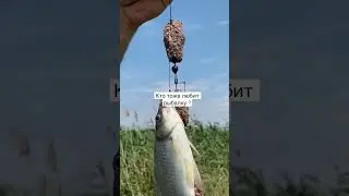 🎣 в деревне