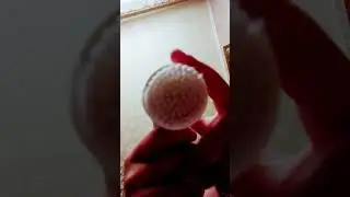 8 мая 2024 г.
