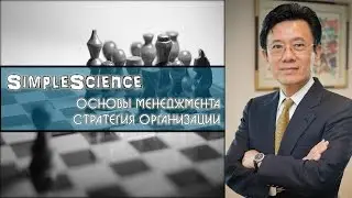 Основы менеджмента. Стратегия организации.