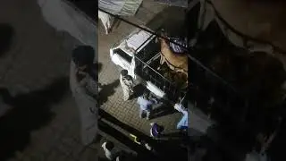 Cow agai hamari 2k24 | shukr Alhumdulillah 🥰 Allah pak kabol frmy ❤️❤️❤️