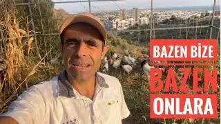 Sonbaharda bahçemizden haber var 🍀☘️🌿🌱🐓🐔