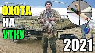 Охота на уток 2021 / Красивые налёты и выстрелы