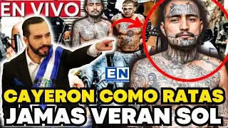 CAYERON como RATAS estos PANDILLEROS BUKELE los METE al CECOT EL SALVADOR NOTICIA