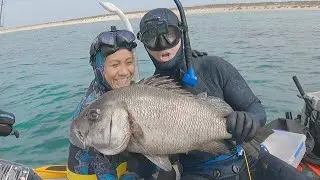 Spearfishing Deeper Water for Big Brown Sweetlips