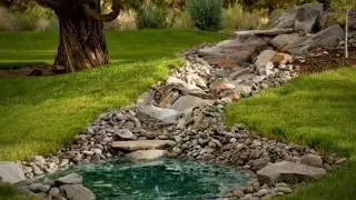Водоем в саду