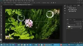 Crear burbujas en Photoshop en 2 sencillos pasos o descárgalas