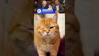 ЗАСМЕЯЛСЯ - ПОДПИСАЛСЯ! Ч.05😂  СМЕХ С ВОДОЙ!