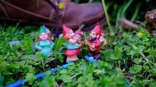 Gnome Soup (Outro)