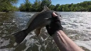 Fox River Fishing the Dams