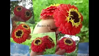 Цинии из фоамирана