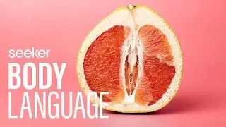 Everything You Didn’t Learn in Sex Education About The Vagina