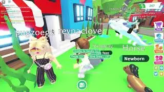 Adopt Me | Roblox | WILL I GET A GOOD PET? | just testing things :)