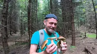 ТАКЕ БУВАЄ?..Знайшли нетронуту ГАЛЯВИНУ БІЛИХ ГРИБІВ!..Нова ХВИЛЯ ЛИСИЧОК!