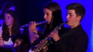 Cantus Insolitus - Gimnazija Kranj Chamber Orchestra