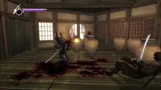 Ninja Gaiden Sigma: Small Essence Guide