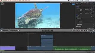 MacBreak Studio: Ep. 315 - Saving Transform Presets
