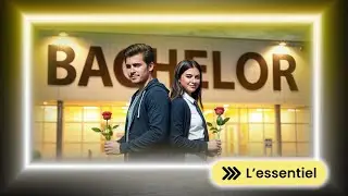 L'essentiel à savoir sur les Bachelors
