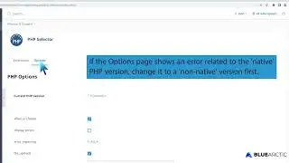 How to Enable or Disable PHP's display errors via CloudLinux Selector in Plesk   BLUE ARCTIC