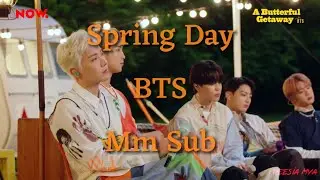 Spring Day | BTS | mm sub | a butterfly gateaway