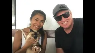 Memories of our Beautiful Berry who passed away with Feline Leukaemia Virus. Special Moments #1