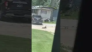 On sync🤣
