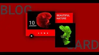 BLOG CARD | HTML & CSS