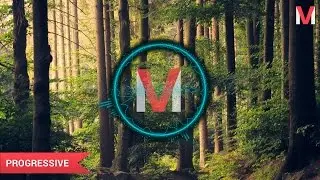 Andy Leech - Abalone | Royalty Free Music