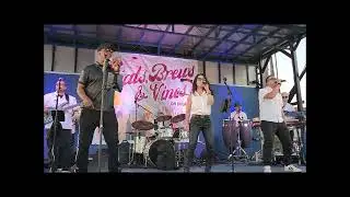 Shake Your Body Down To the Ground - Jacksons | Live w/@BustaGrooveBand
