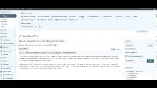 How to Uncluter Your WordPress Post Editor