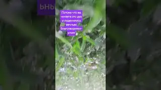 уделите пожалуйста 15 секунд🙏