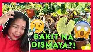 Early morning best finds in the market| Bakit early nadismaya? | Cooked the best pancit 😋