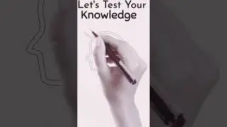 Test Your Knowledge [Coding On Mobile]  