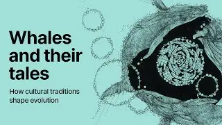 Whales and their tales