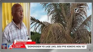 Flash! Dominiken yo pase sou elikoptè touye tout pye kokoye leogane ak yon Lwil yo lage