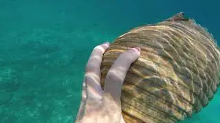 Diving near Albanian coast, September 2020