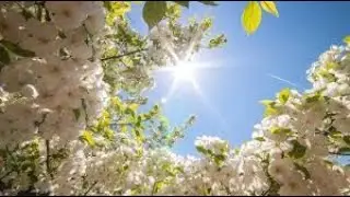 Вопрос - ответ из подсознания 02.05.2023 (TIK-TOK)