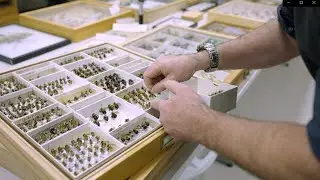 Occupational Video - Entomologist