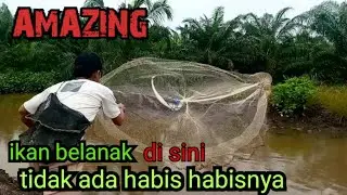 AMAZING! ikan belanak di parit ini tidak ada habis habisnya/net fishing