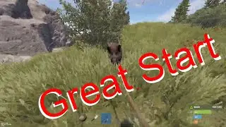 US Main At Wipe Great Solo Start #rust #playrust