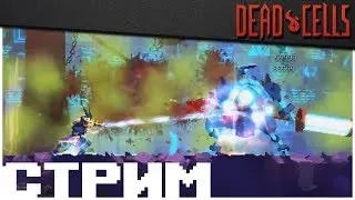 Проклятый билд, Коллекционер 5BC рип, настоящая концовка \ Dead Cells