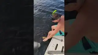 неожиданная встреча.....